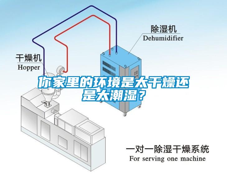 你家里的环境是太干燥还是太潮湿？