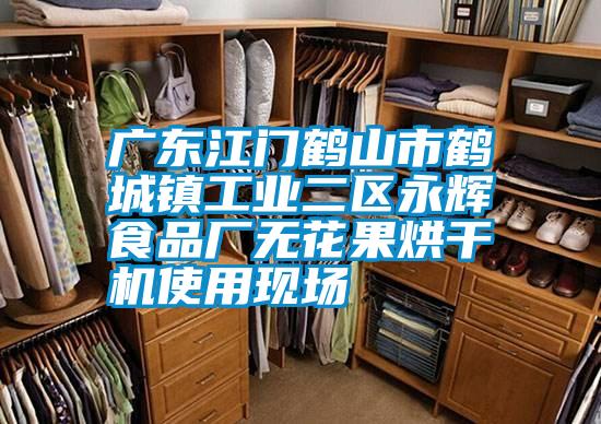 广东江门鹤山市鹤城镇工业二区永辉食品厂无花果烘干机使用现场