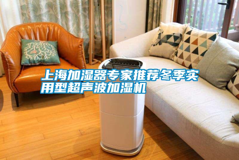 上海加湿器专家推荐冬季实用型超声波加湿机