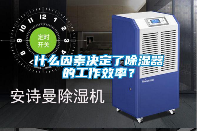 什么因素决定了除湿器的工作效率？