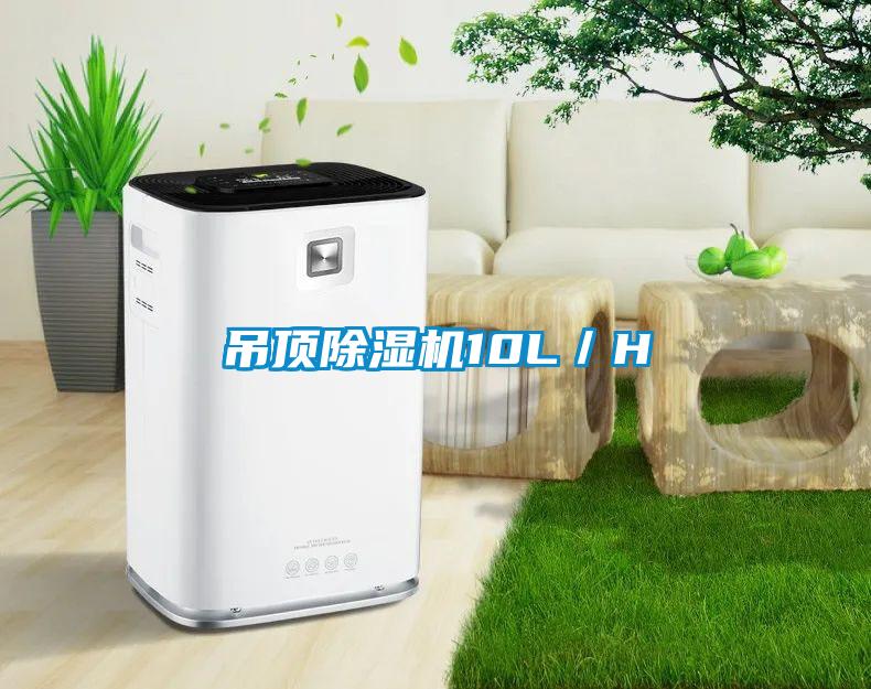 吊顶除湿机10L／H