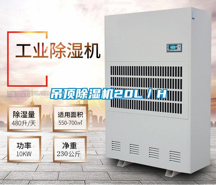 吊顶除湿机20L／H