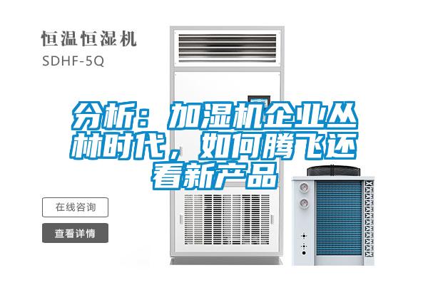 分析：加湿机企业丛林时代，如何腾飞还看新产品