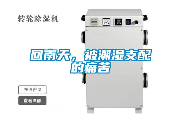 回南天，被潮湿支配的痛苦