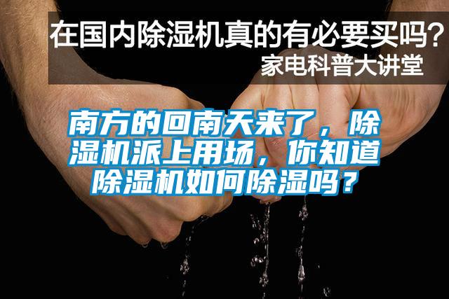 南方的回南天来了，除湿机派上用场，你知道除湿机如何除湿吗？