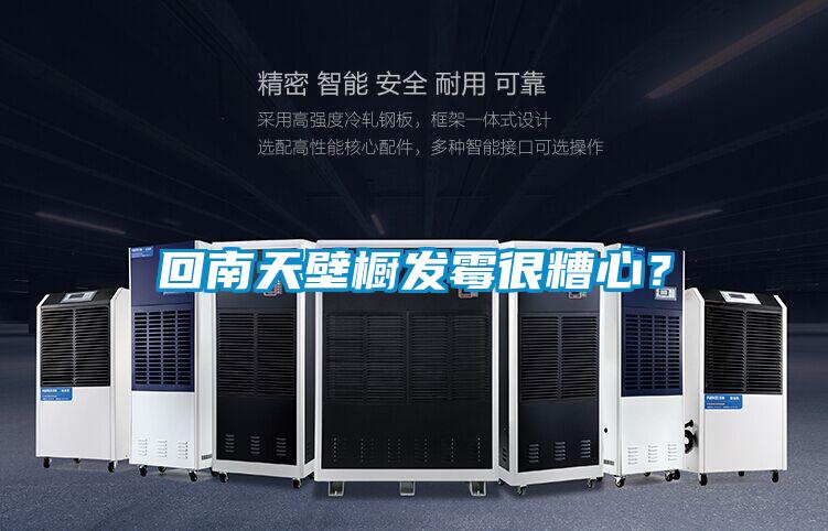 回南天壁橱发霉很糟心？