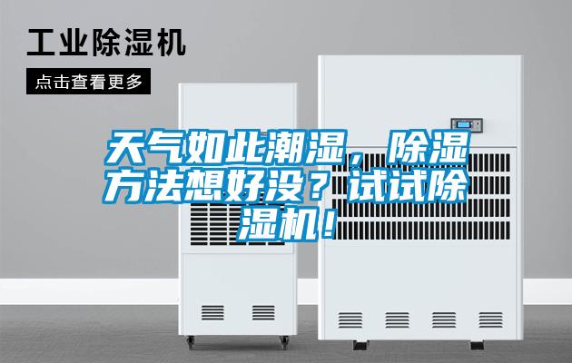 天气如此潮湿，除湿方法想好没？试试除湿机！