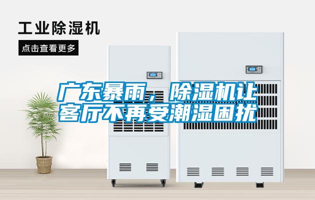 广东暴雨,除湿机让客厅不再受潮湿困扰
