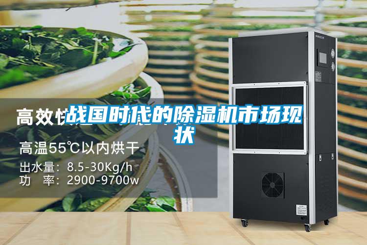 战国时代的除湿机市场现状