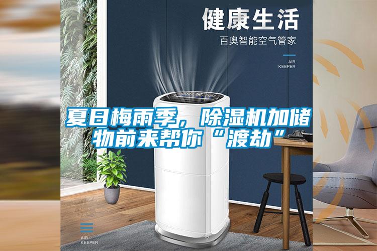 夏日梅雨季，除湿机加储物前来帮你“渡劫”