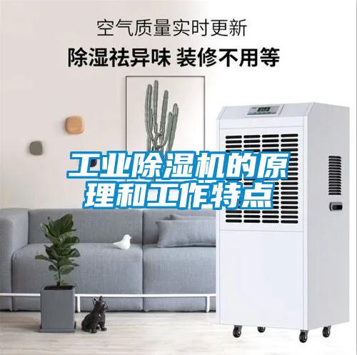 工业除湿机的原理和工作特点