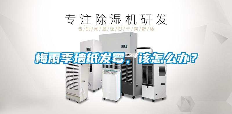 梅雨季墙纸发霉，该怎么办？