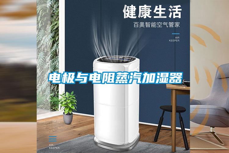 电极与电阻蒸汽加湿器