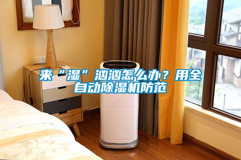 来“湿”汹汹怎么办？用全自动除湿机防范