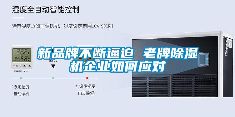 新品牌不断逼迫 老牌除湿机企业如何应对