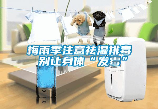 梅雨季注意祛湿排毒 别让身体“发霉”