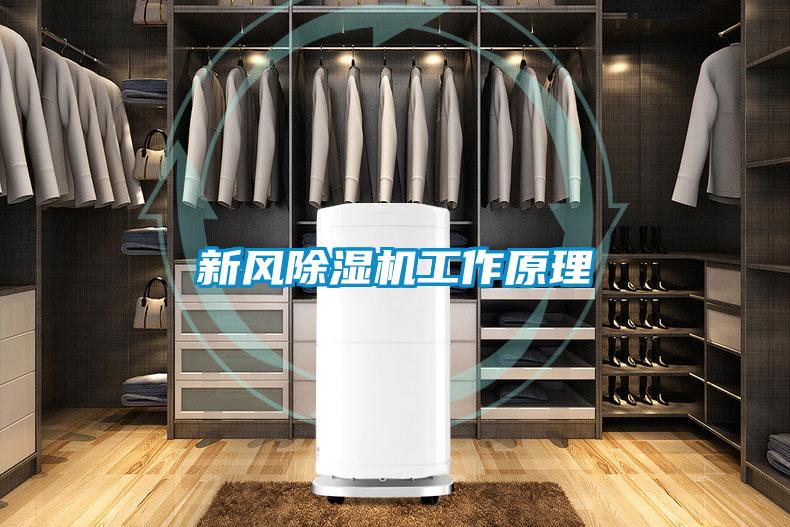 新风除湿机工作原理