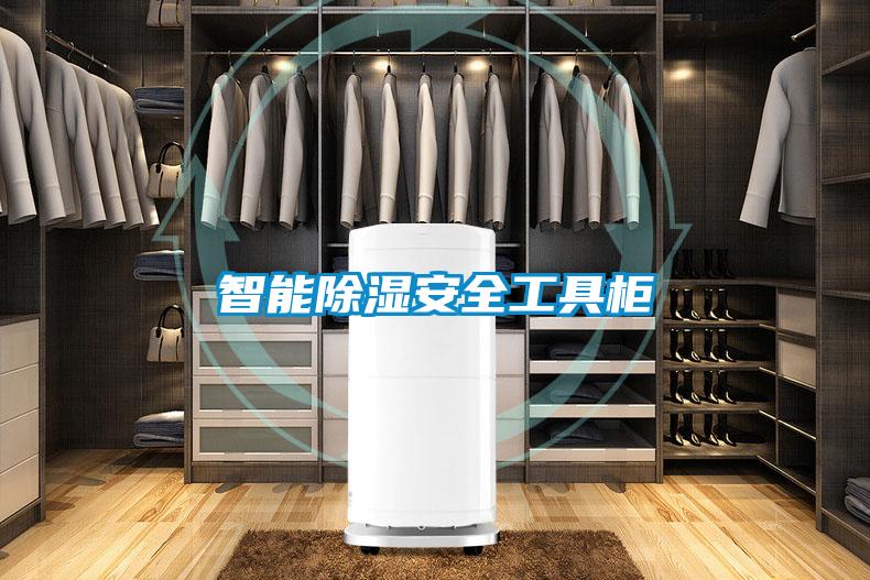 智能除湿安全工具柜