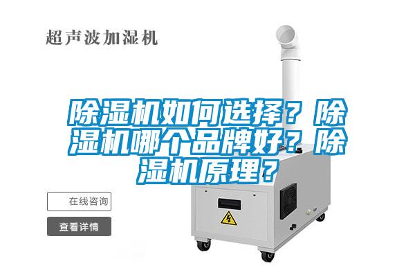 除湿机如何选择？除湿机哪个品牌好？除湿机原理？