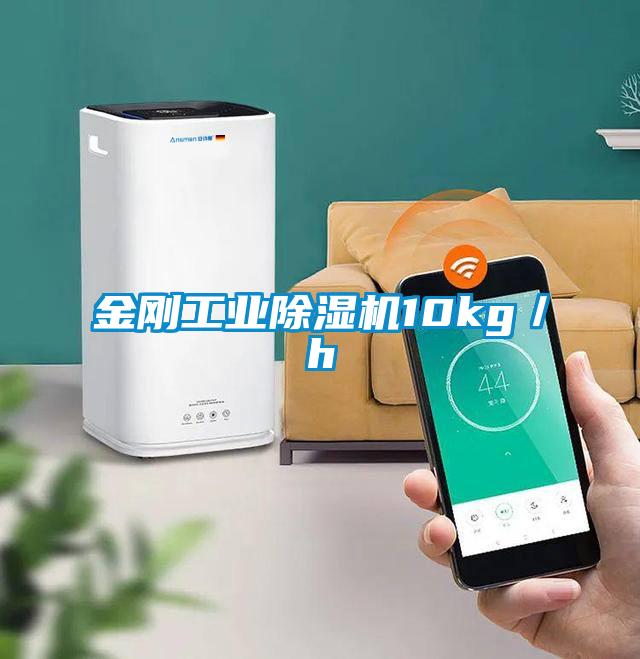 金刚工业除湿机10kg／h