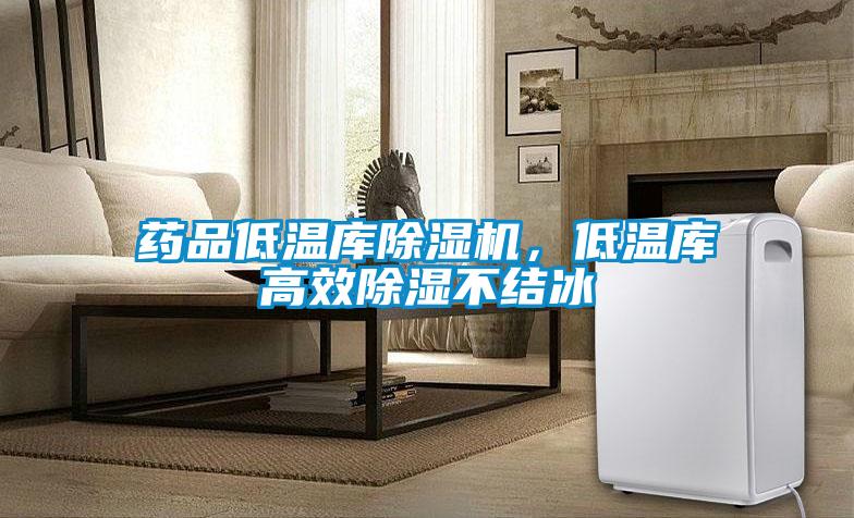 药品低温库除湿机，低温库高效除湿不结冰