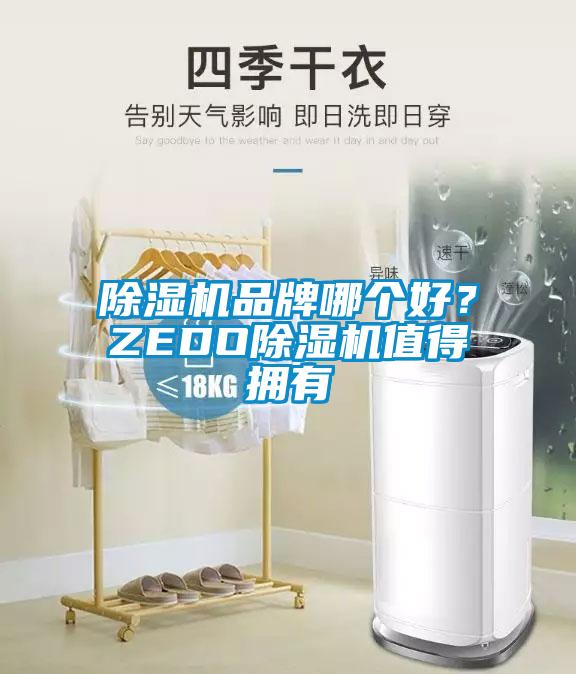 除湿机品牌哪个好？ZEDO除湿机值得拥有