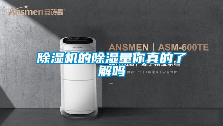 除湿机的除湿量你真的了解吗