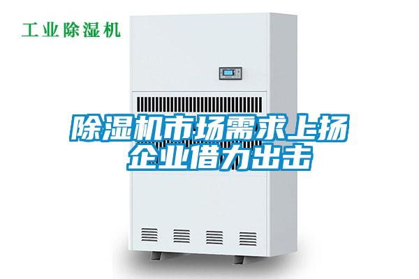 除湿机市场需求上扬 企业借力出击