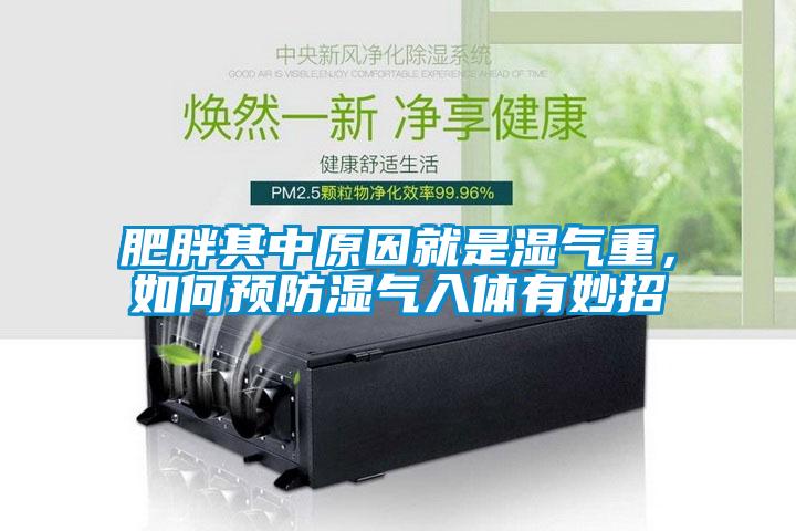 肥胖其中原因就是湿气重，如何预防湿气入体有妙招