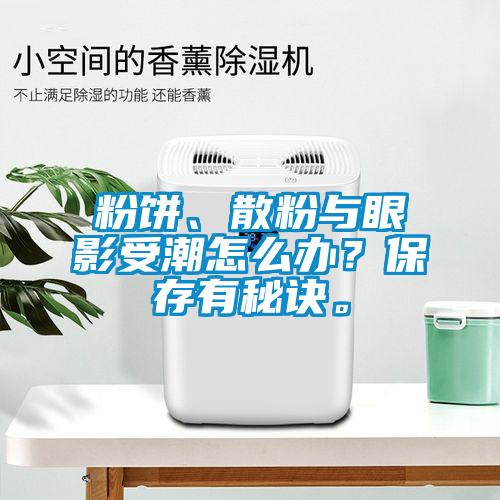 粉饼、散粉与眼影受潮怎么办？保存有秘诀。