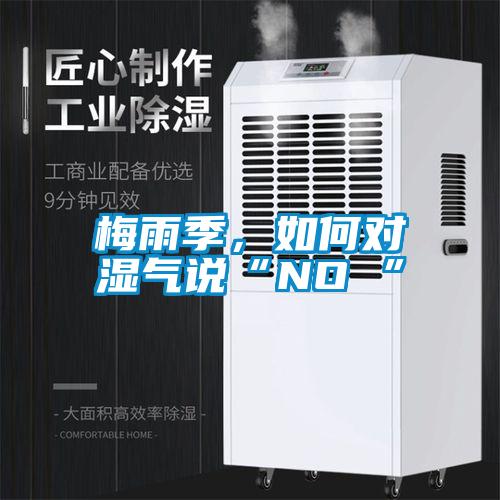 梅雨季，如何对湿气说“NO ”
