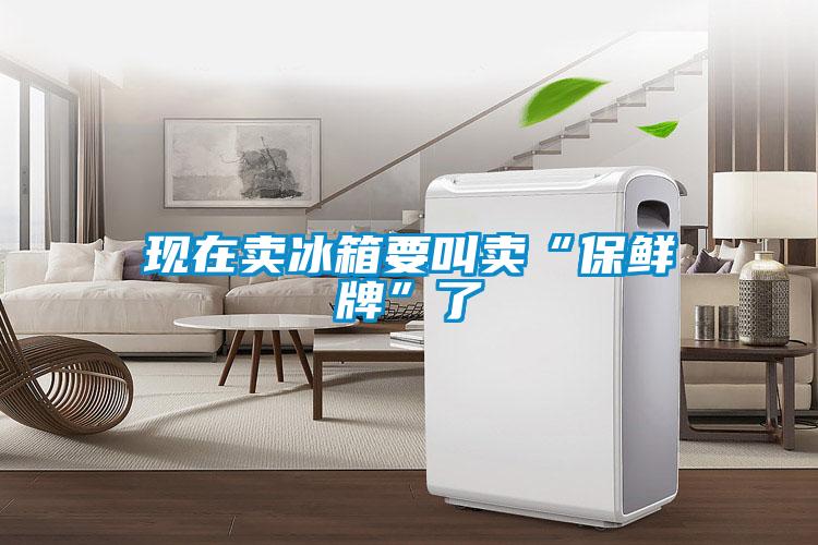 现在卖冰箱要叫卖“保鲜牌”了