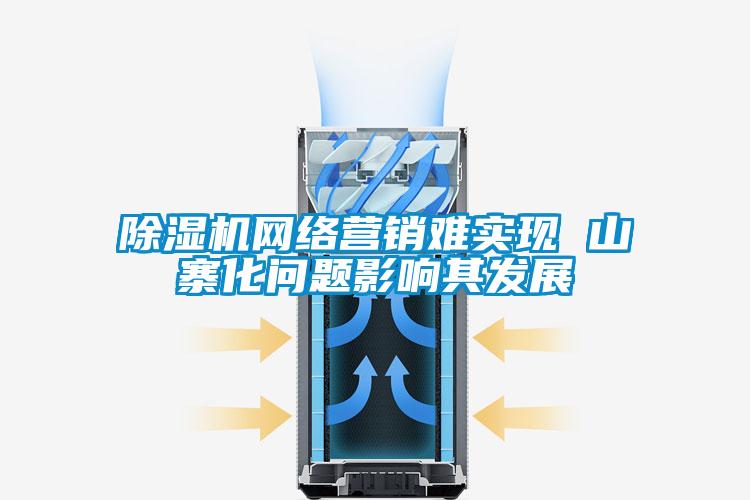除湿机网络营销难实现 山寨化问题影响其发展