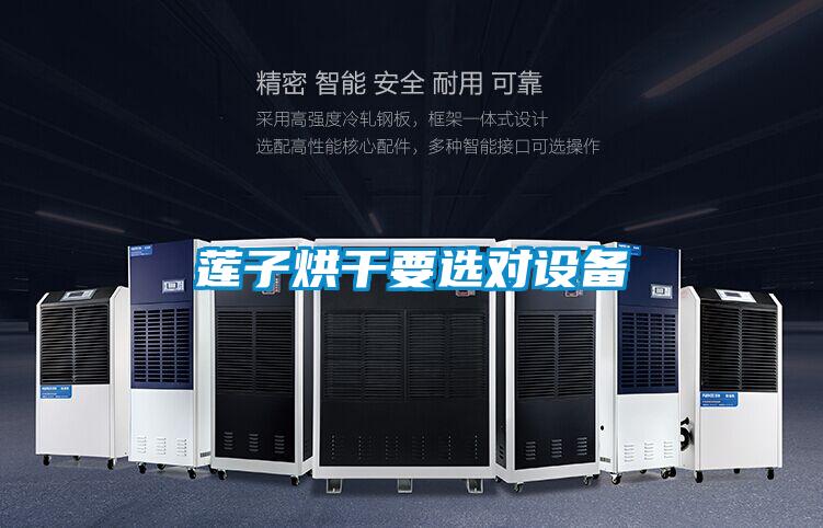 莲子烘干要选对设备