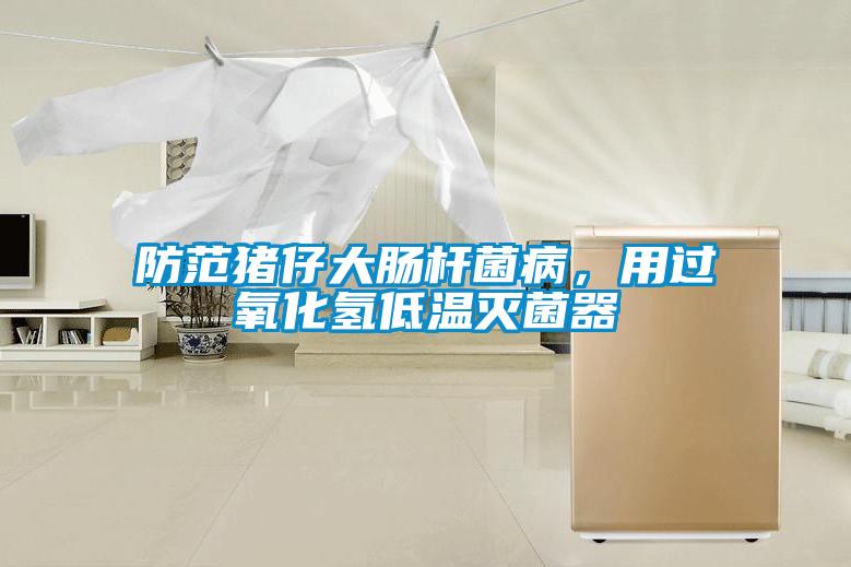 防范猪仔大肠杆菌病，用过氧化氢低温灭菌器