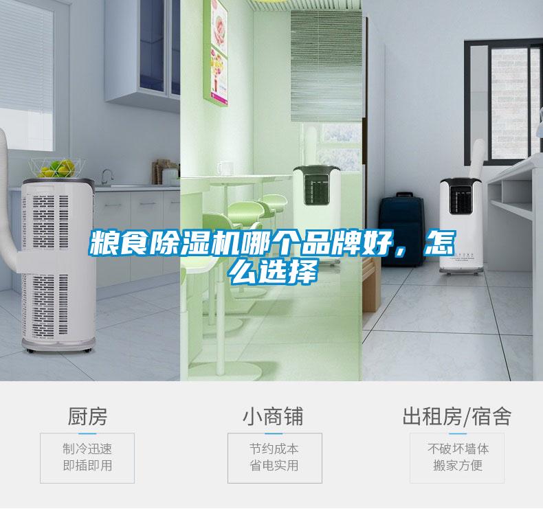 粮食除湿机哪个品牌好，怎么选择