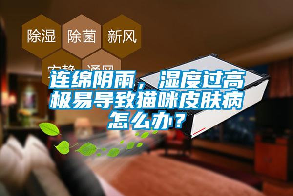 连绵阴雨，湿度过高极易导致猫咪皮肤病怎么办？