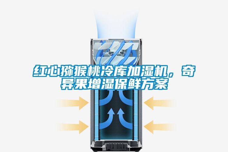 红心猕猴桃冷库加湿机，奇异果增湿保鲜方案