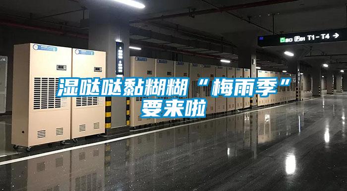 湿哒哒黏糊糊“梅雨季”要来啦