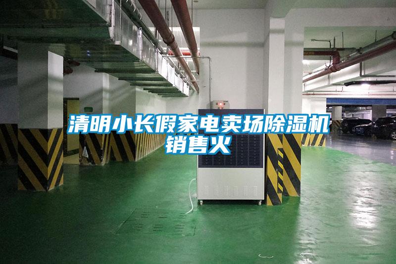 清明小长假家电卖场除湿机销售火