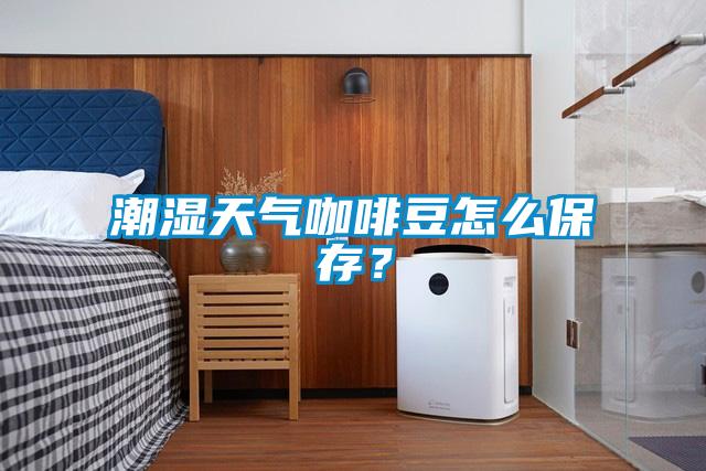 潮湿天气咖啡豆怎么保存?