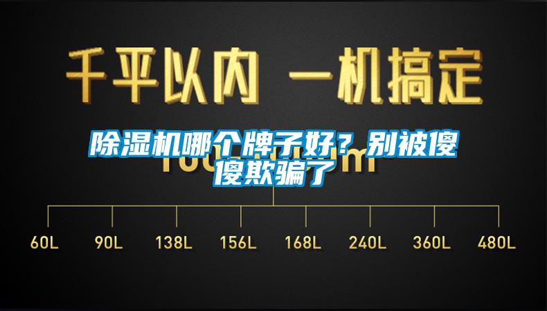 除湿机哪个牌子好？别被傻傻欺骗了