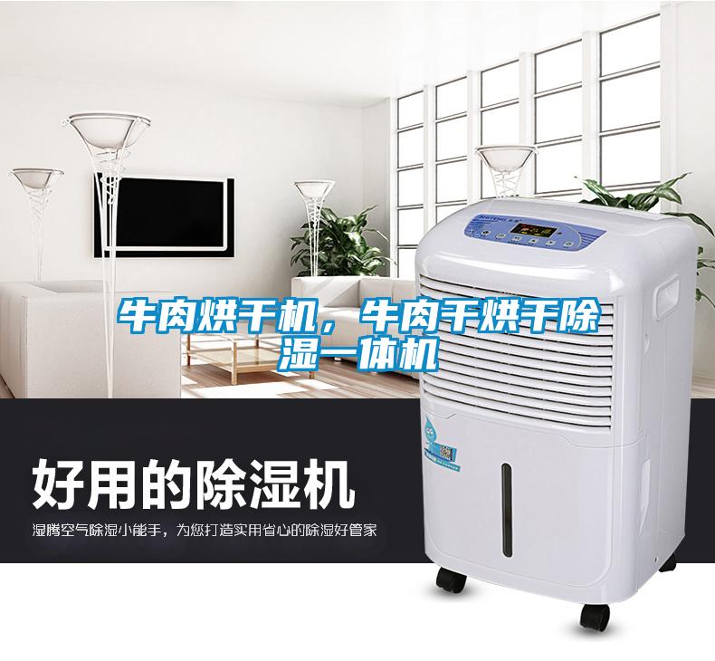 牛肉烘干机，牛肉干烘干除湿一体机