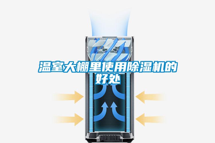 温室大棚里使用除湿机的好处