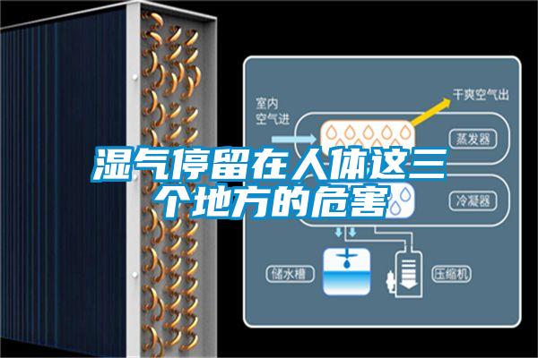 湿气停留在人体这三个地方的危害