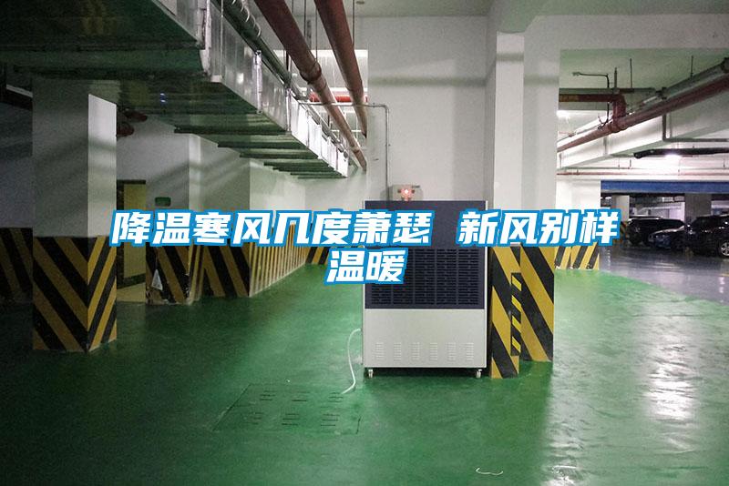 降温寒风几度萧瑟 新风别样温暖