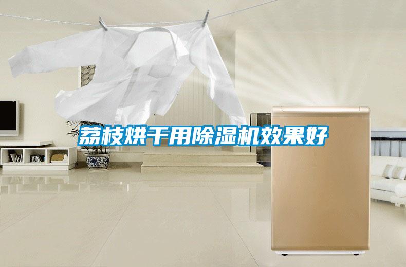 荔枝烘干用除湿机效果好