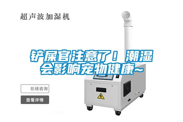 铲屎官注意了！潮湿会影响宠物健康~