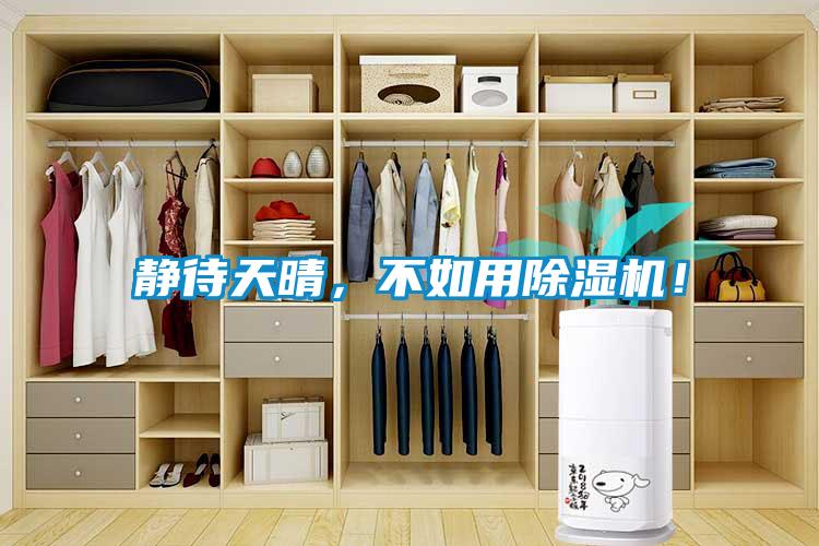 静待天晴，不如用除湿机！