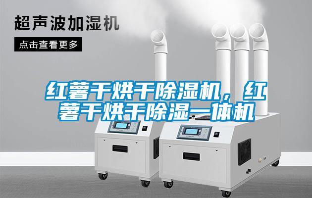 红薯干烘干除湿机，红薯干烘干除湿一体机